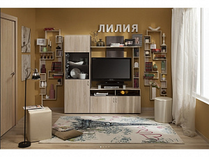 «Лилия» (гостиная) 2
